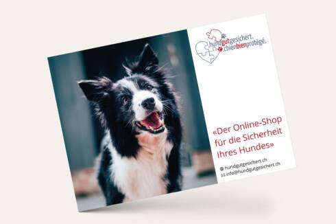 Hund gut gesichert Flyer gestaltet von der Werbeagentur Media Motion AG in St.Gallen